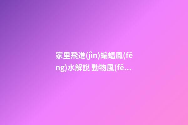 家里飛進(jìn)蝙蝠風(fēng)水解說 動物風(fēng)水